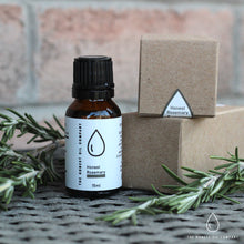 Load image into Gallery viewer, Essential Oils Pack ~ (Focus) Fresh & Clean