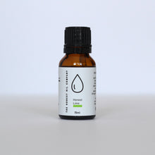 Load image into Gallery viewer, Honest Lime