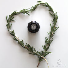 Load image into Gallery viewer, Essential Oils Pack ~ (Focus) Fresh & Clean