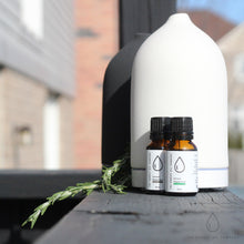 Load image into Gallery viewer, Stone Diffuser (White)

