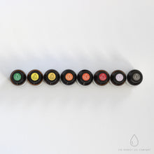 Load image into Gallery viewer, Essential Oils Pack ~ (Grateful) Grateful Heart
