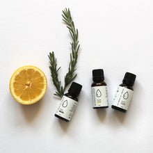 Load image into Gallery viewer, Essential Oils Pack ~ (Focus) Fresh &amp; Clean
