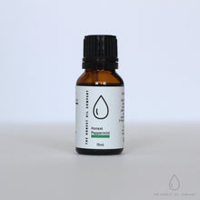 Load image into Gallery viewer, Essential Oils Pack ~ (Focus) Laser Focus
