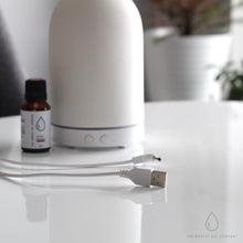Load image into Gallery viewer, Stone Diffuser (White)
